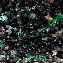 В Дрогобыче начали вручную сортировать мусор