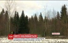 Праздник приближается: на Прикарпатье лесники выбрали главную елку Украины (видео)