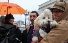 В Киеве прошла акция с требованием усилить наказание за жестокое обращение с животными (фоторепортаж)
