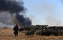 Кампания против ИГИЛ в Ираке и Сирии: коалиция признала гибель более 200 мирных жителей