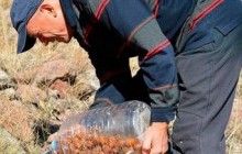 Мусульманин из Турции посадил миллион деревьев, возрождая Сунну Пророка Мухаммада