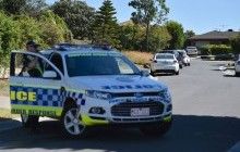 В Австралії старий собака допоміг вижити 3-річній дівчинці, яка заблукала в лісі (відео)
