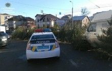 В Тернополе разоблачили иностранца, торговавшего елками без маркировки и накладных