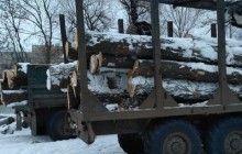 На Харьковщине правоохранители остановили "КамАЗ" с незаконно вырубленными дубами (фото)