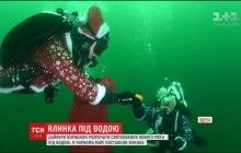 Під воду з ялинкою і шампанським: на Одещині дайвери вирішили оригінально відсвяткувати Новий рік (відео)