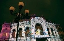 Квіти і закохані: світлове шоу на фасаді Київської опери (фотогалерея, відео)
