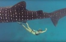 Немає часу для нудьги: найкращі кадри власників камер GoPro за рік показали в одному відео