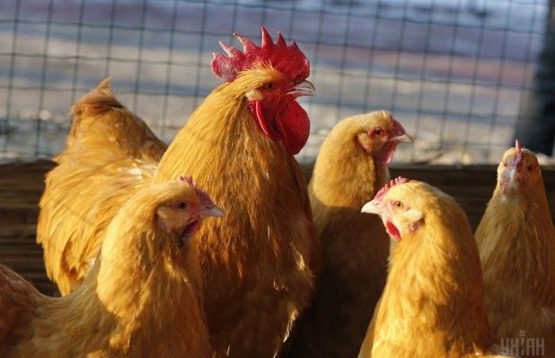 8 октября: народные традиции и приметы, что нельзя делать