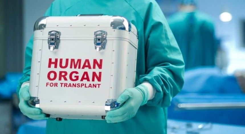 В Украине автомобилям, везущим органы для трансплантации, разрешили спецсигналы