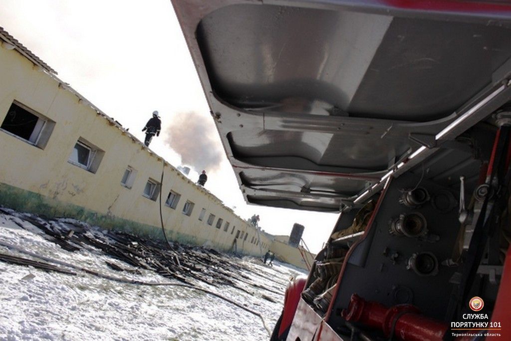 На момент прибуття рятувальників площа горіння становила близько 800 м кв. / ternopil.dsns.gov.ua На момент прибуття рятувальників площа горіння становила близько 800 м кв. / ternopil.dsns.gov.ua