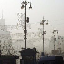 Теплый декабрь установил температурный рекорд в Киеве