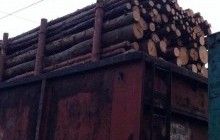 В Украине ввели ограничения на вывоз дров