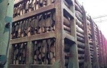 В Румынию пытались незаконно вывезти 56 вагонов украинского леса (фото)