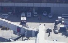 Аэропорт во Флориде возобновляет работу после стрельбы