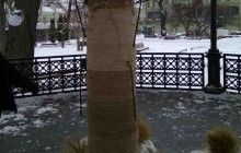 В центре Одессы неизвестные разрушили 3-метрового рождественского дидуха