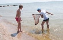 Экологи: необходимо минимум на 5 лет запретить промысел в Азовском море