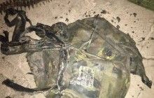 Ихтамнет: на Донбасі у "сірій зоні" знайшли обгорілий ранець російського військового (фото)