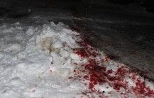 Перестрелка на Житомирщине: в полиции исключают "янтарные" разборки (видео)
