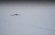 Ученые объяснили, какие угрозы несет гигантская трещина в леднике Антарктиды (видео)