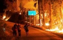 К тушению лесных пожаров в Чили привлекли военных