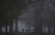 Жителей Закарпатья предупреждают о тумане 18 октября
