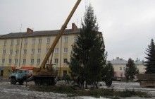Новогоднюю елку в Бродах используют для отопления коммунального предприятия