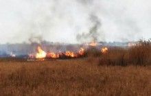 Браконьєри для "викурювання звірів" влаштували пожежу в національному парку "Тузлівські лимани" (фото)