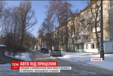 У Тернополі невідомі розстріляли із пневматичної зброї 15 іномарок