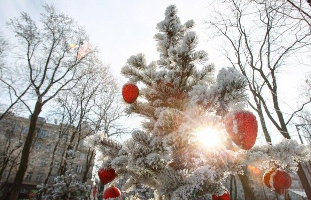 Найкращі тури за вигідною ціною: в Україні стартував продаж путівок для зимового відпочинку