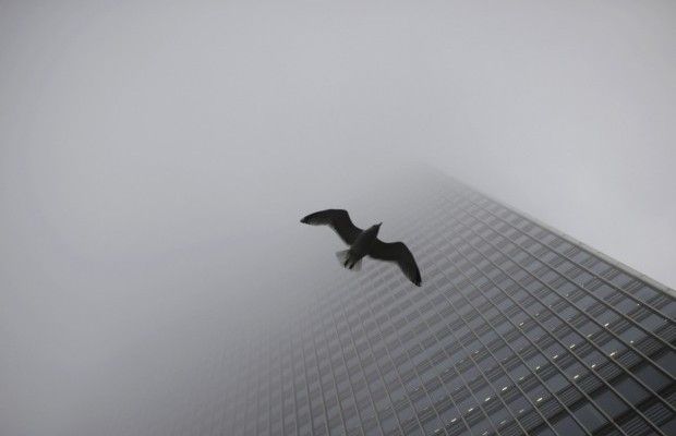 Рим, Берлін та Варшава: в аеропорту «Київ» скасовано декілька рейсів через туман