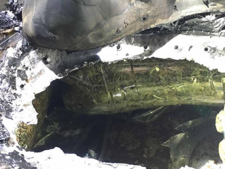 На Харківщині митники виявили авто, начинене 'травичкою' (фото) На Харківщині митники виявили авто, начинене 'травичкою' (фото)