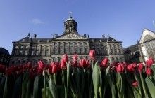 В Нидерландах избирательные бюллетени подсчитают вручную из-за опасений хакерских атак