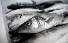 В Одесской области браконьеры наловили рыбы на 2 миллиона