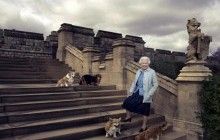 Умер последний корги королевы Великобритании