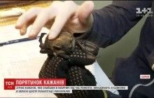 Порятунок запорізьких знайд: у Харків доправили чотириста кажанів (відео)