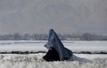 В Афганистане убили сотрудников Красного Креста, помогавших пострадавшему от снегопадов району