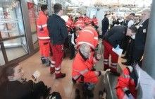 Украинцев среди пострадавших в аэропорту Гамбурга нет – консул