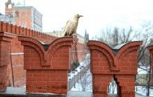 Друзі з примусу