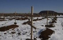 В окупованому Донецьку на кладовищі із середини січня з'явилося більше 100 нових могил - ІС