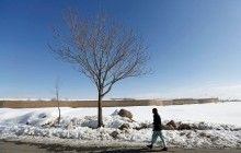 Лидер "Талибана" призвал сажать больше деревьев в Афганистане