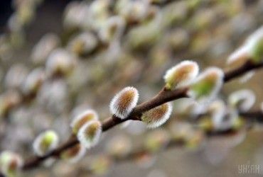 Весна ворвется в Украину с теплой и сухой погодой: прогноз на 1 марта (карта)