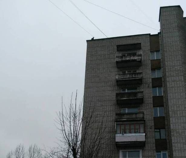 скриншот скриншот