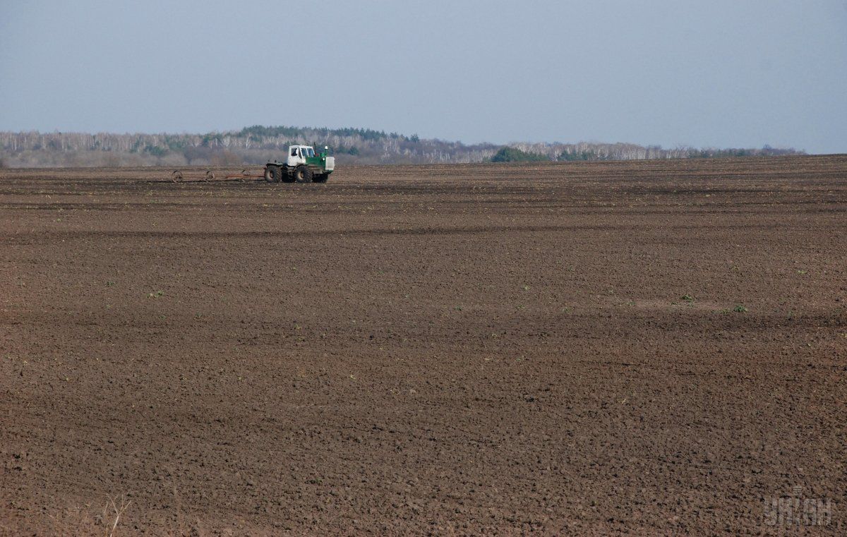 В Украине уже давно существует нелегальный рынок сельхозземли / Фото УНИАН