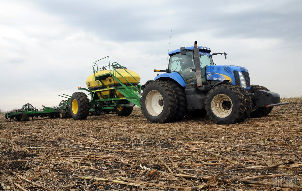 Английские фермеры страдают от набегов воров / фото УНИАН