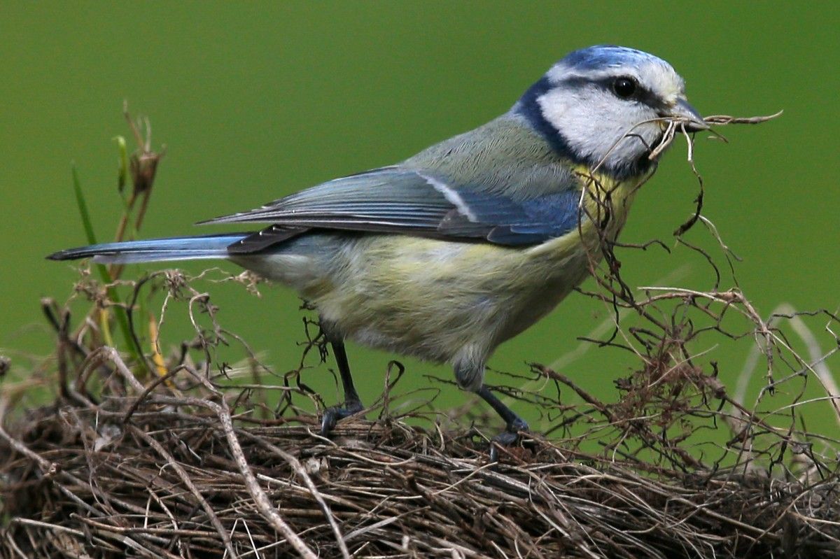 11 травня в Україні буде до +22 градусів / фото REUTERS