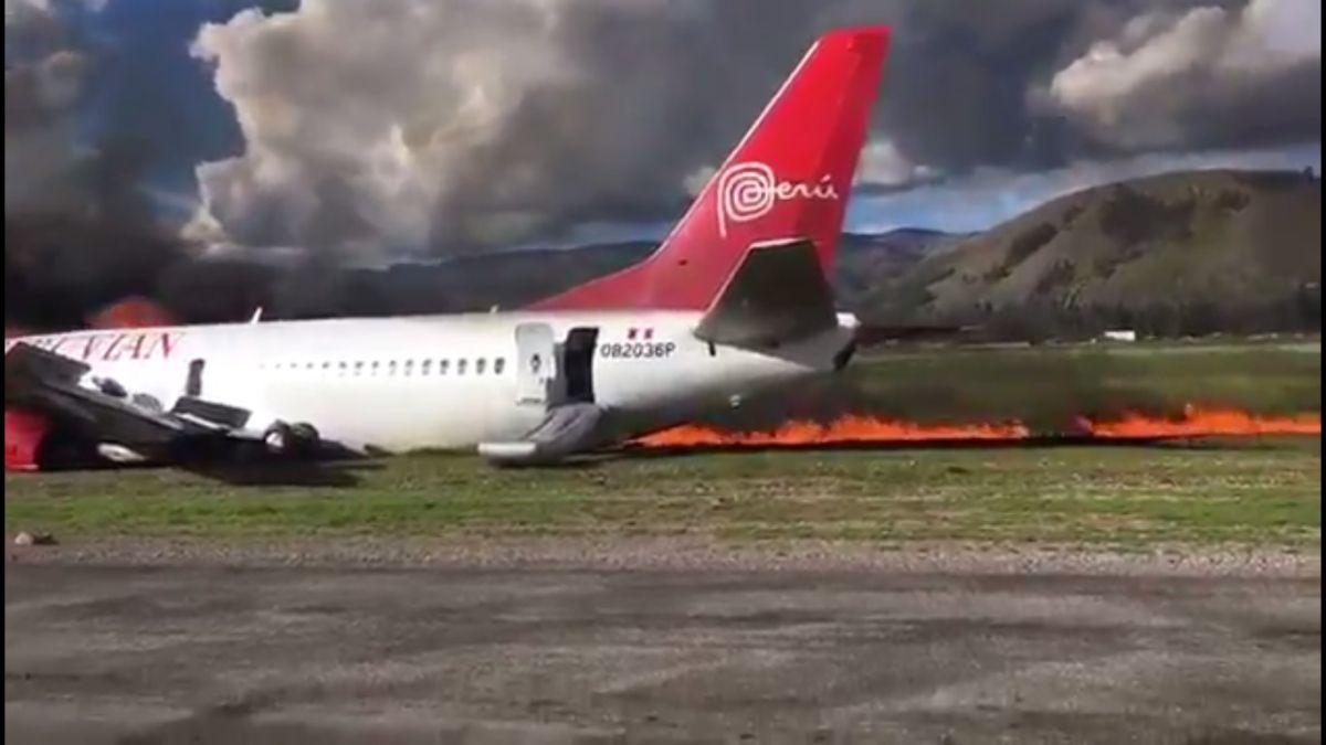 скриншот видео скриншот видео