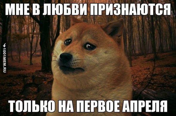 1001MEM 1001MEM