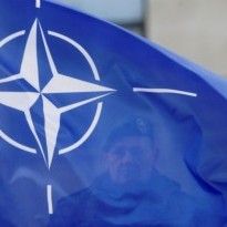 NATO to continue supporting Ukrainian Army development – deputy chief of representative office