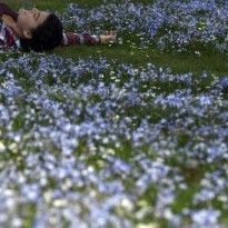 Выходные и праздники в Украине: календарь на 2020 год