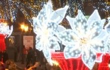 Центр Одеси прикрасили величезними "вогняними нарцисами" (відео)